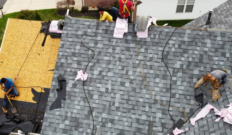 Roof Repair Services in Clearwater FL